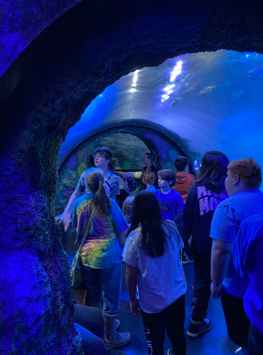 field trip pictures
