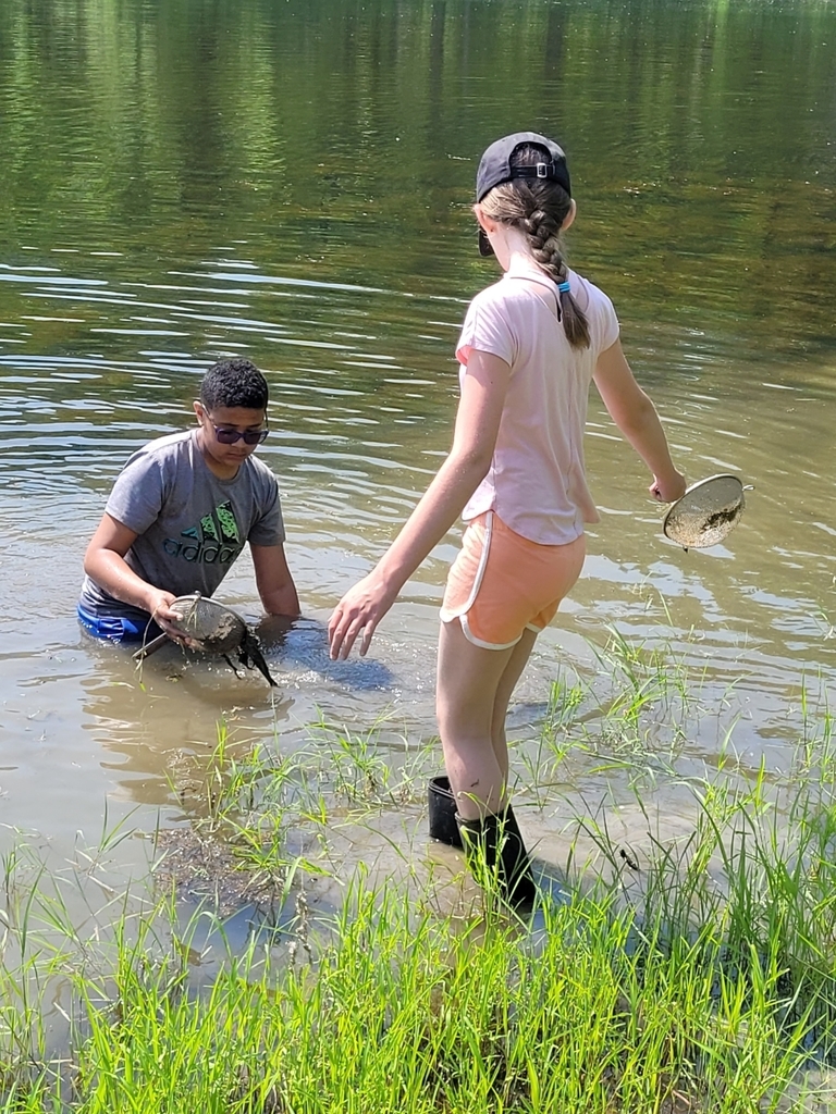 pond