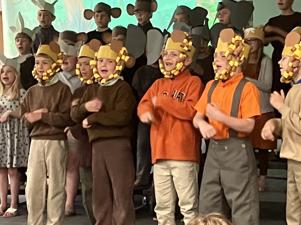 MEMS Anansi