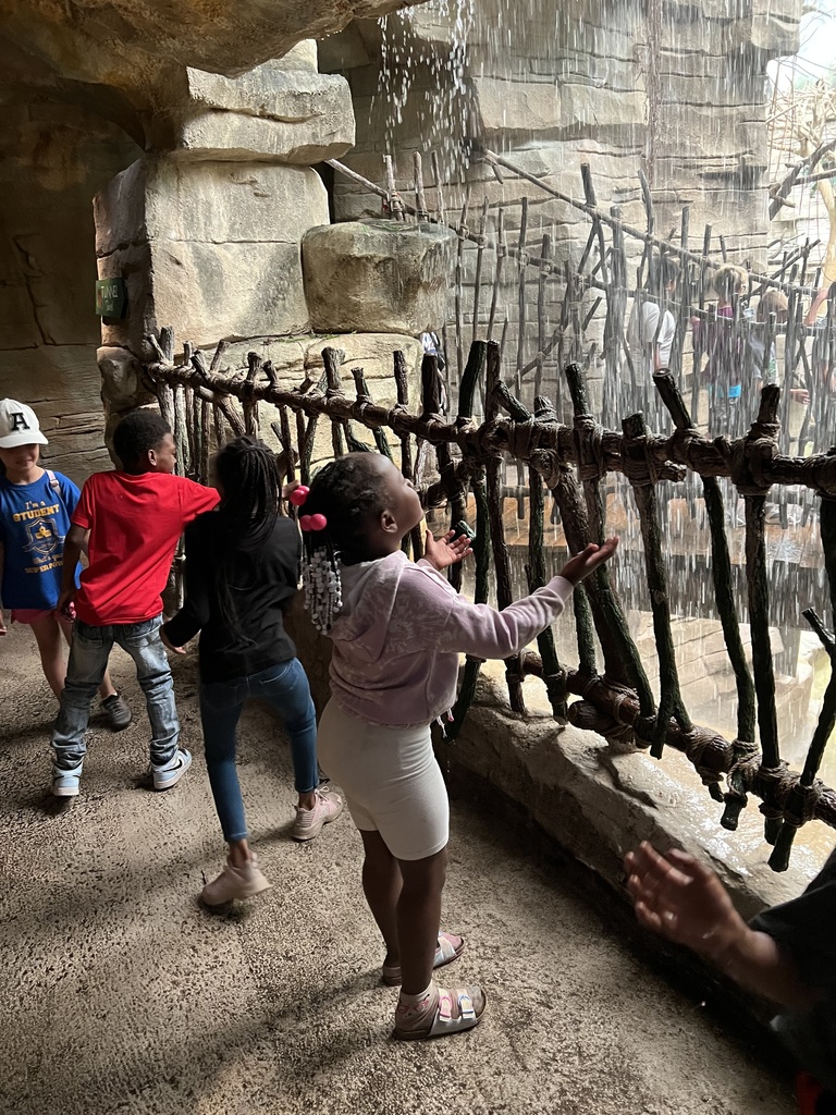 2nd grade is having a blast at Brookfield Zoo! 