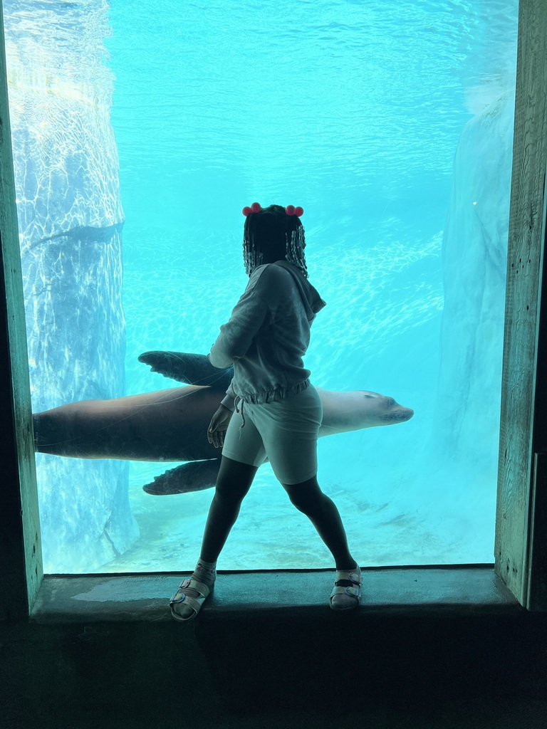 2nd grade is having a blast at Brookfield Zoo! 