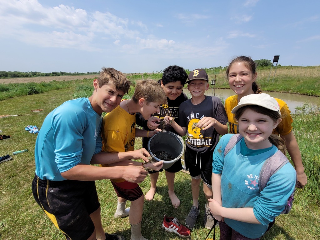 Crawdads