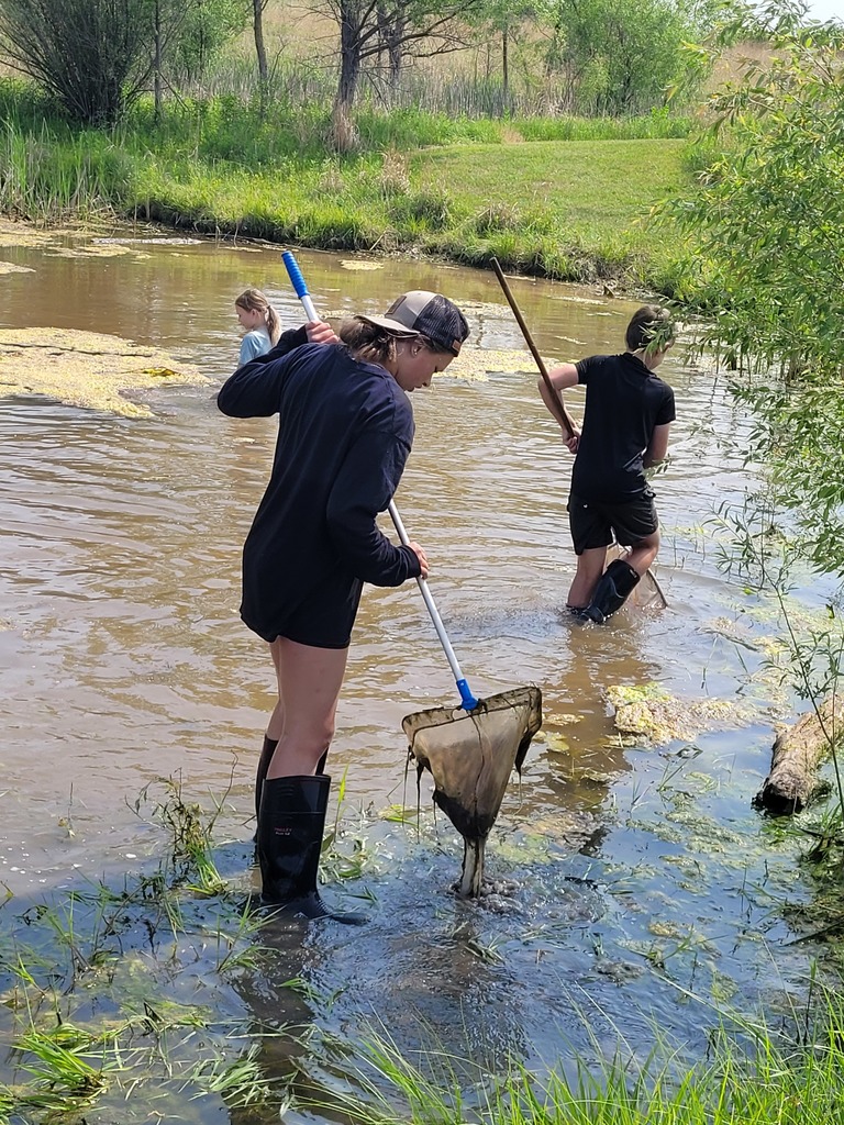 pond