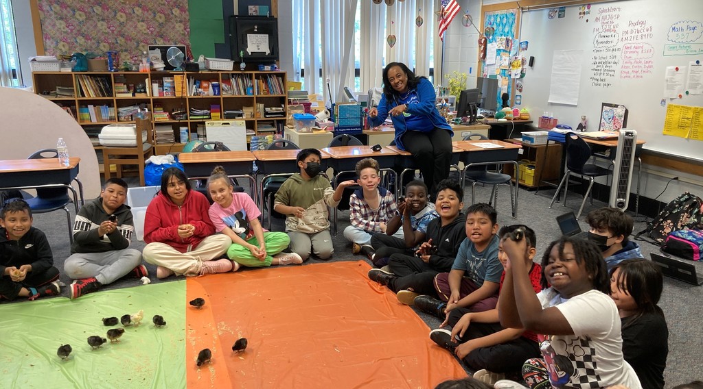Dr. Kirksey with 4th Grade and the chicks.