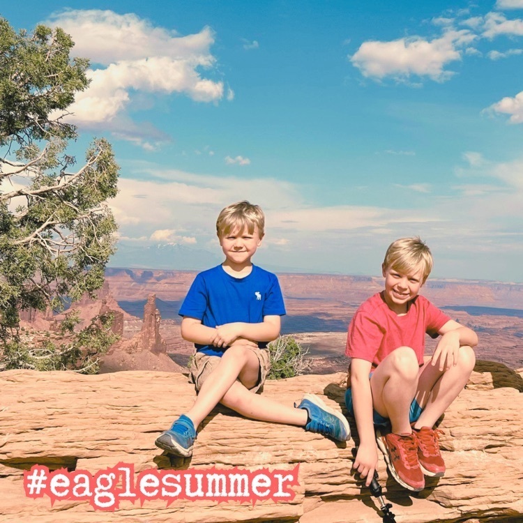 Eagle summer