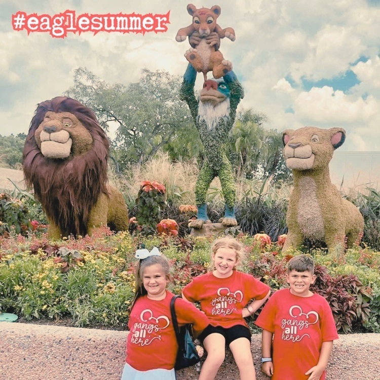 Eagle summer