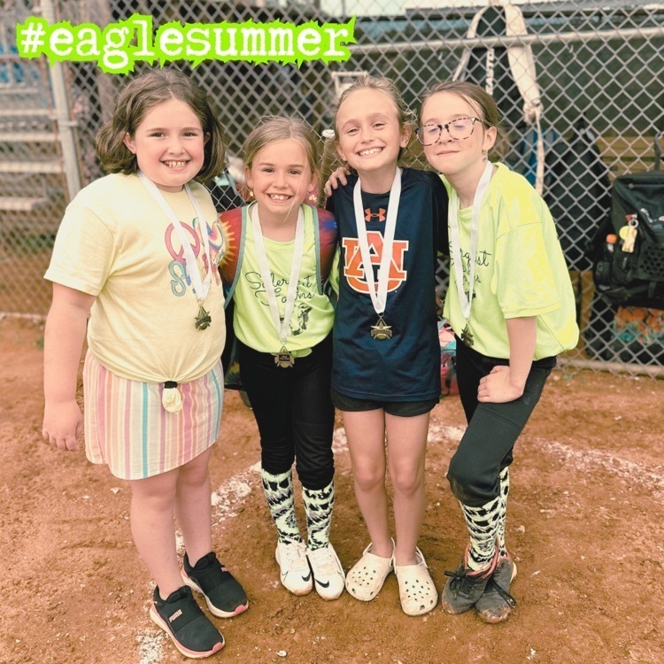 Eagle summer