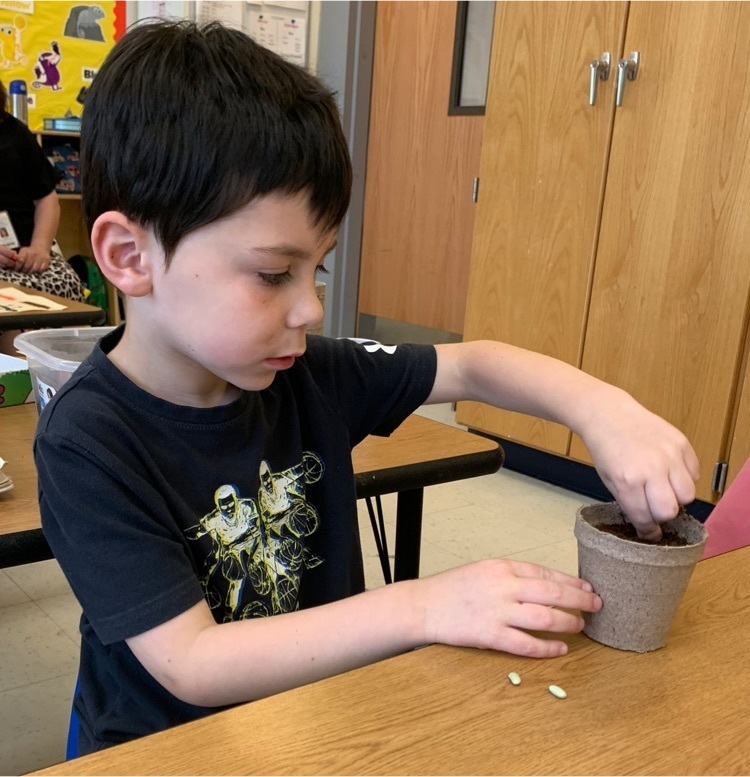 student planting a seed