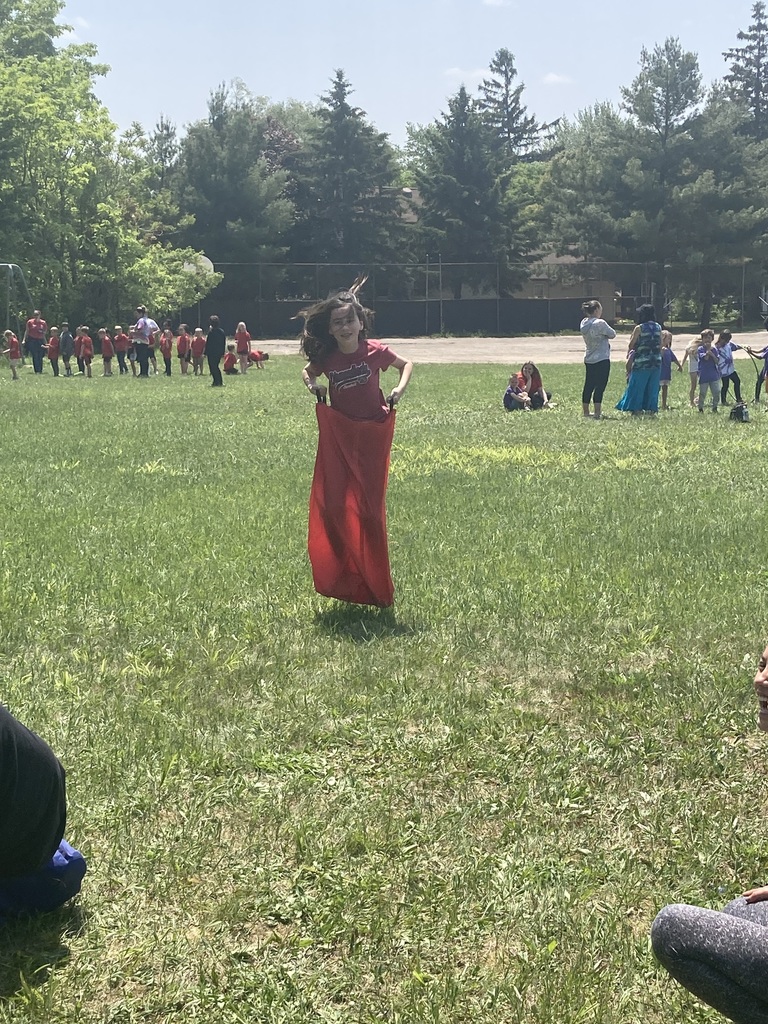Field Day