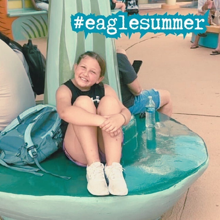 Eagle summer 