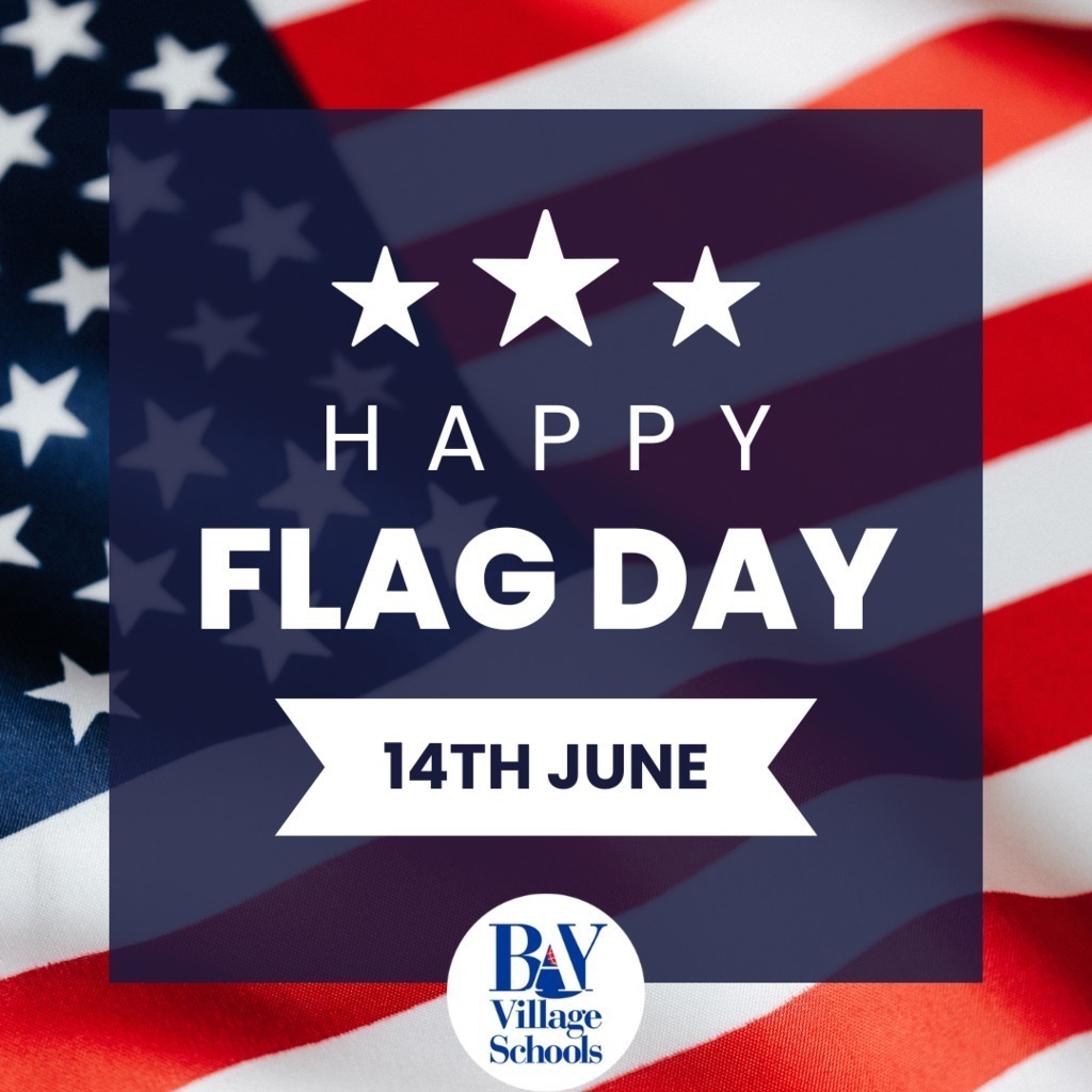Flag Day visual