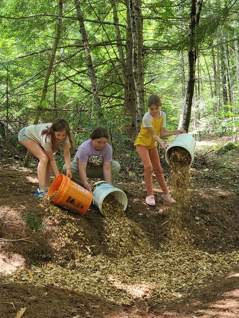 pouring wood chips