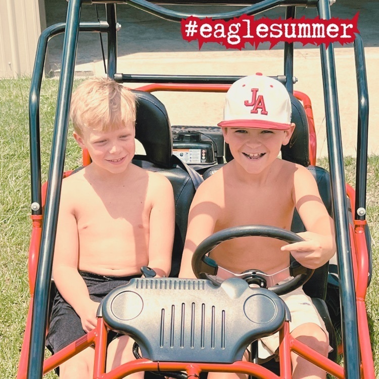 Eagle summer
