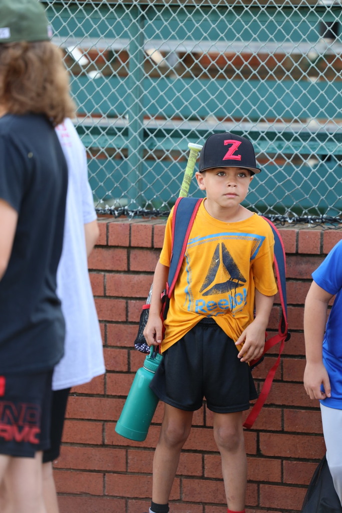 Zebra Baseball Camp