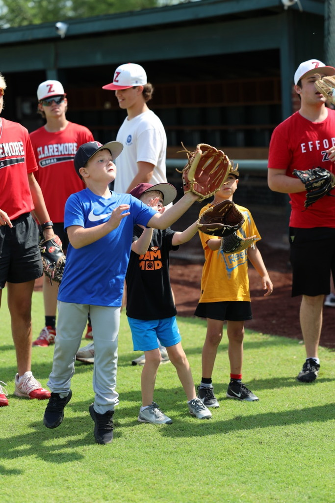 Zebra Baseball Camp