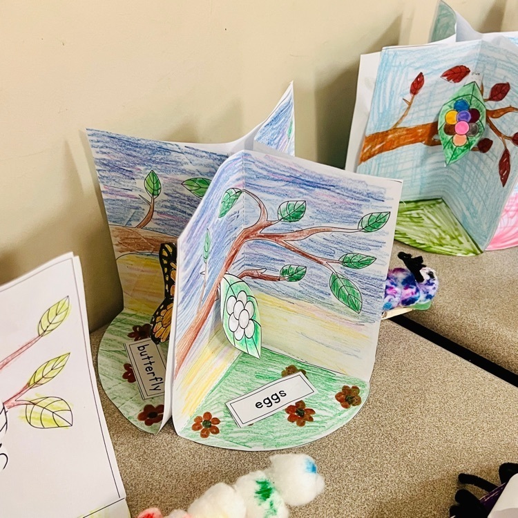 student projects