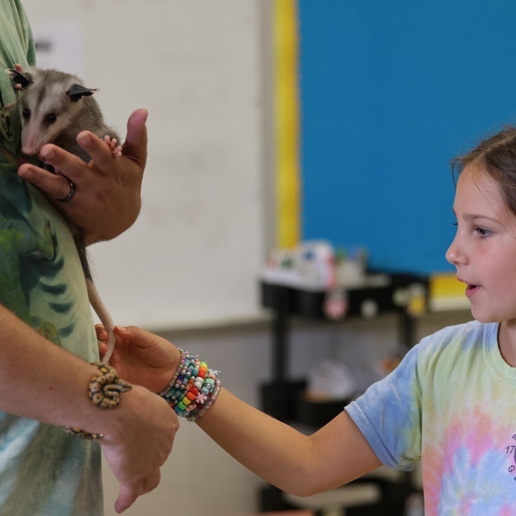 summer camps visit animals