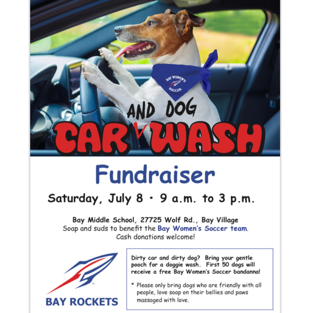 girls soccer dog and car wash flyer