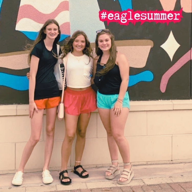Eagle summer