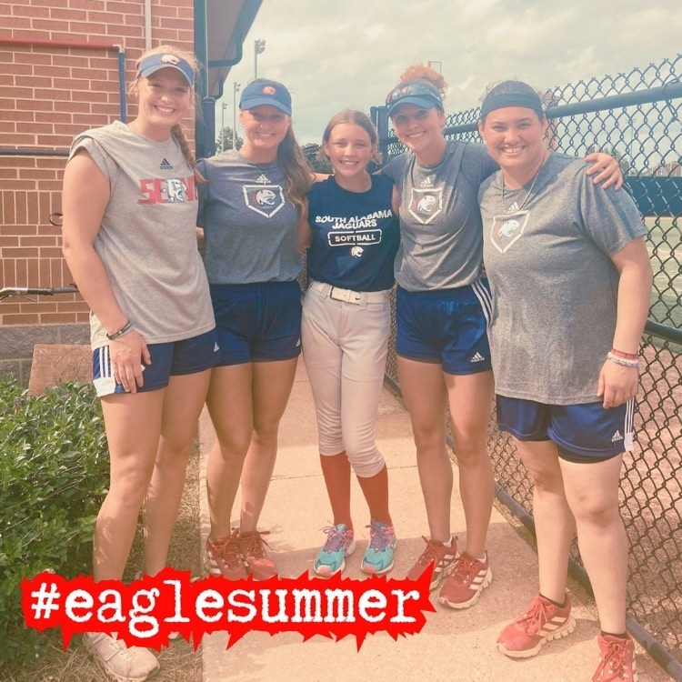 Eagle summer