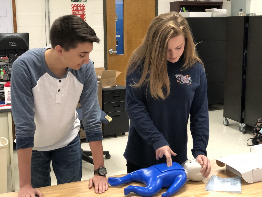 Students doing CPR.