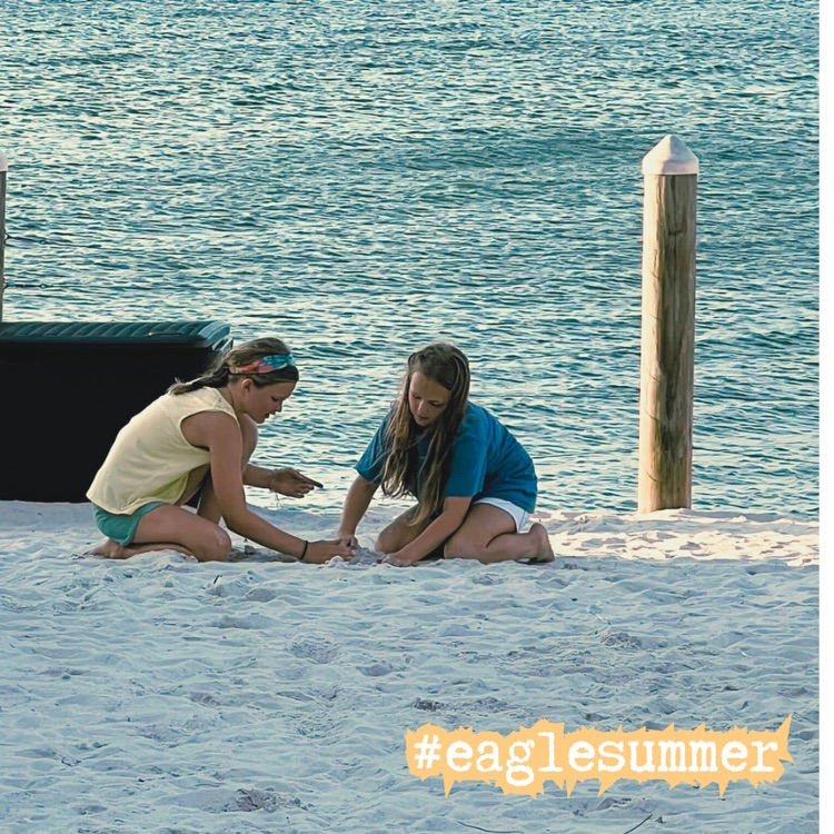 Eagle summer