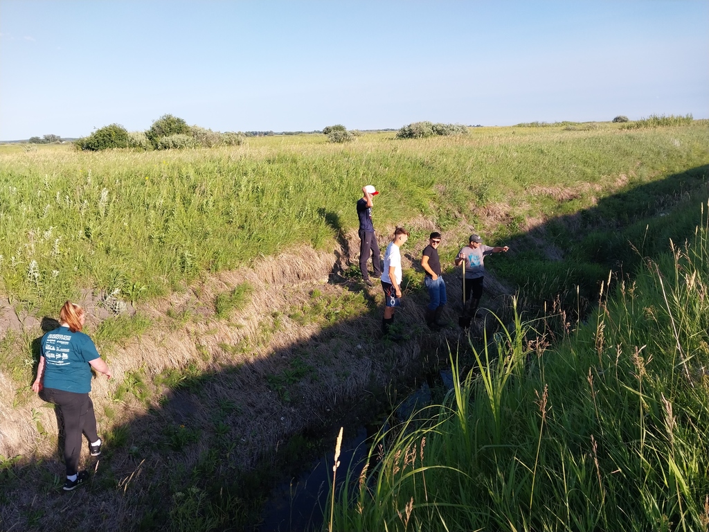 in the creek
