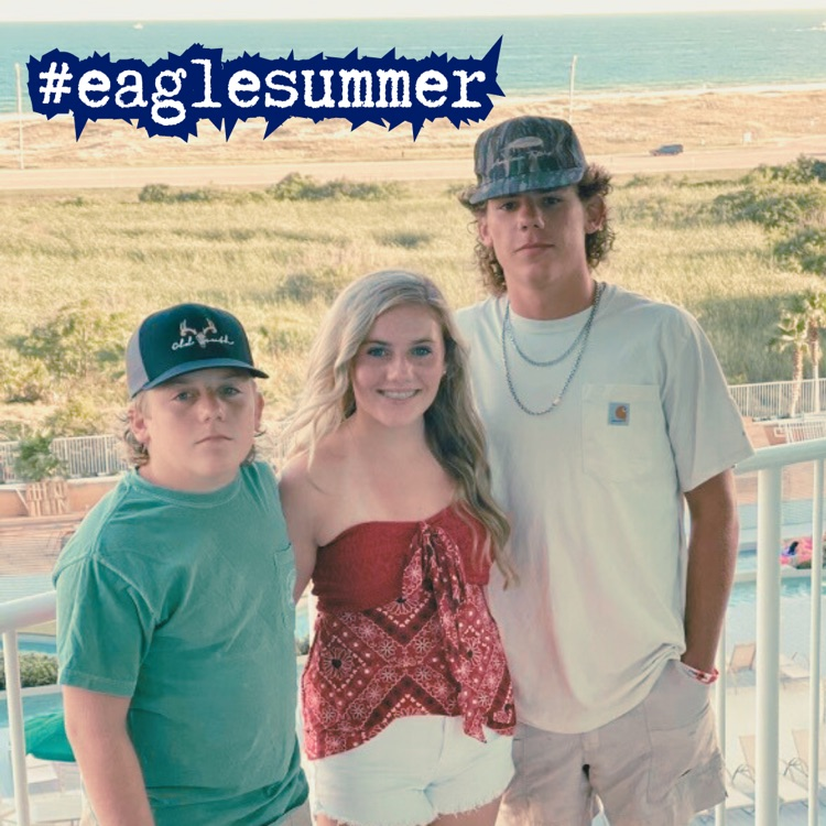 Eagle summer