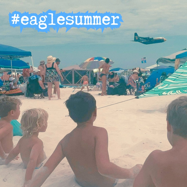 Eagle summer