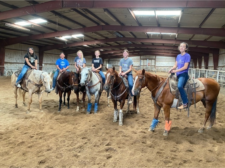 We love our BRONCS!!