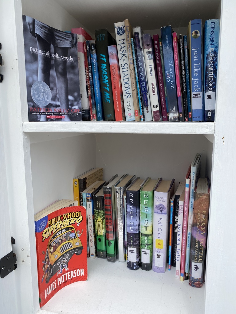 The inside of our free library at Hampstead Middle School - the books are all free