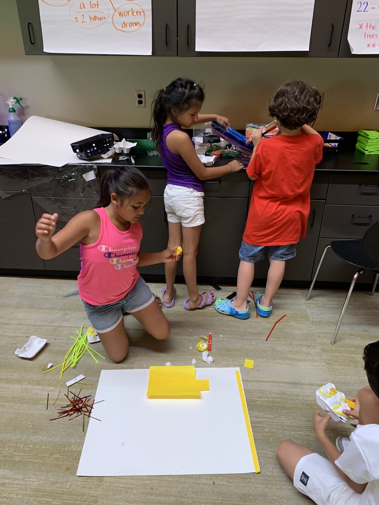 Students making their honey bee posters.