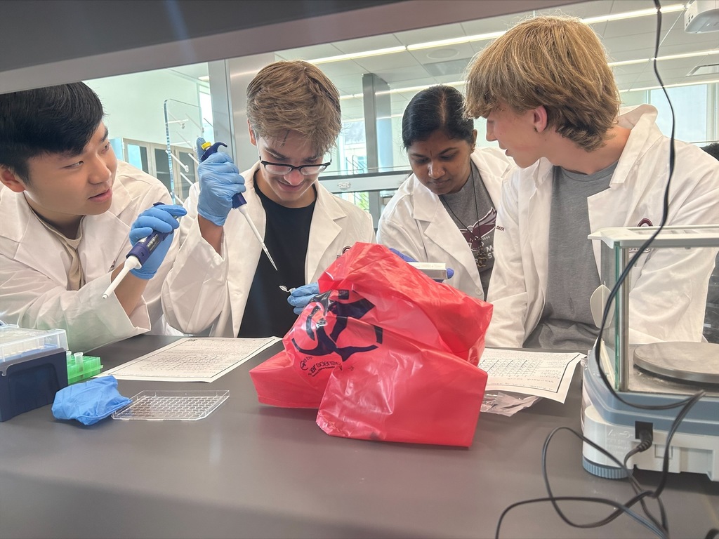 several students watch another drop liquid into a tube