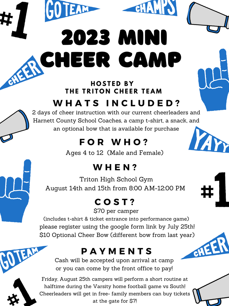 Cheer Mini Camp