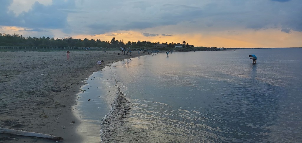 the beach