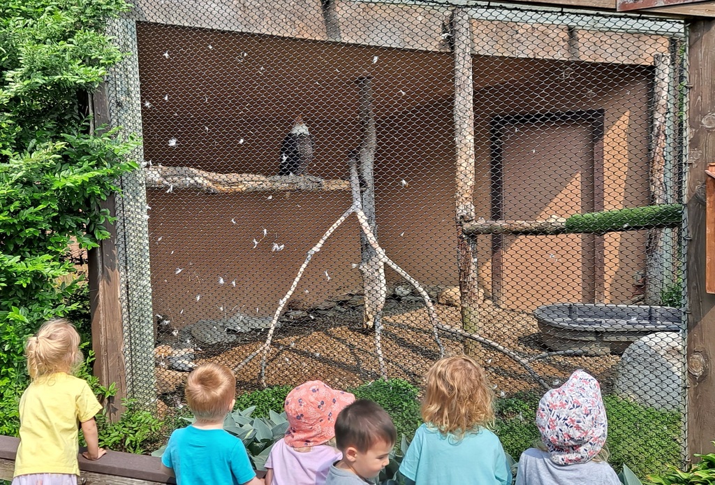 Glenview Center Toddlers at Lake Erie Nature & Science Center