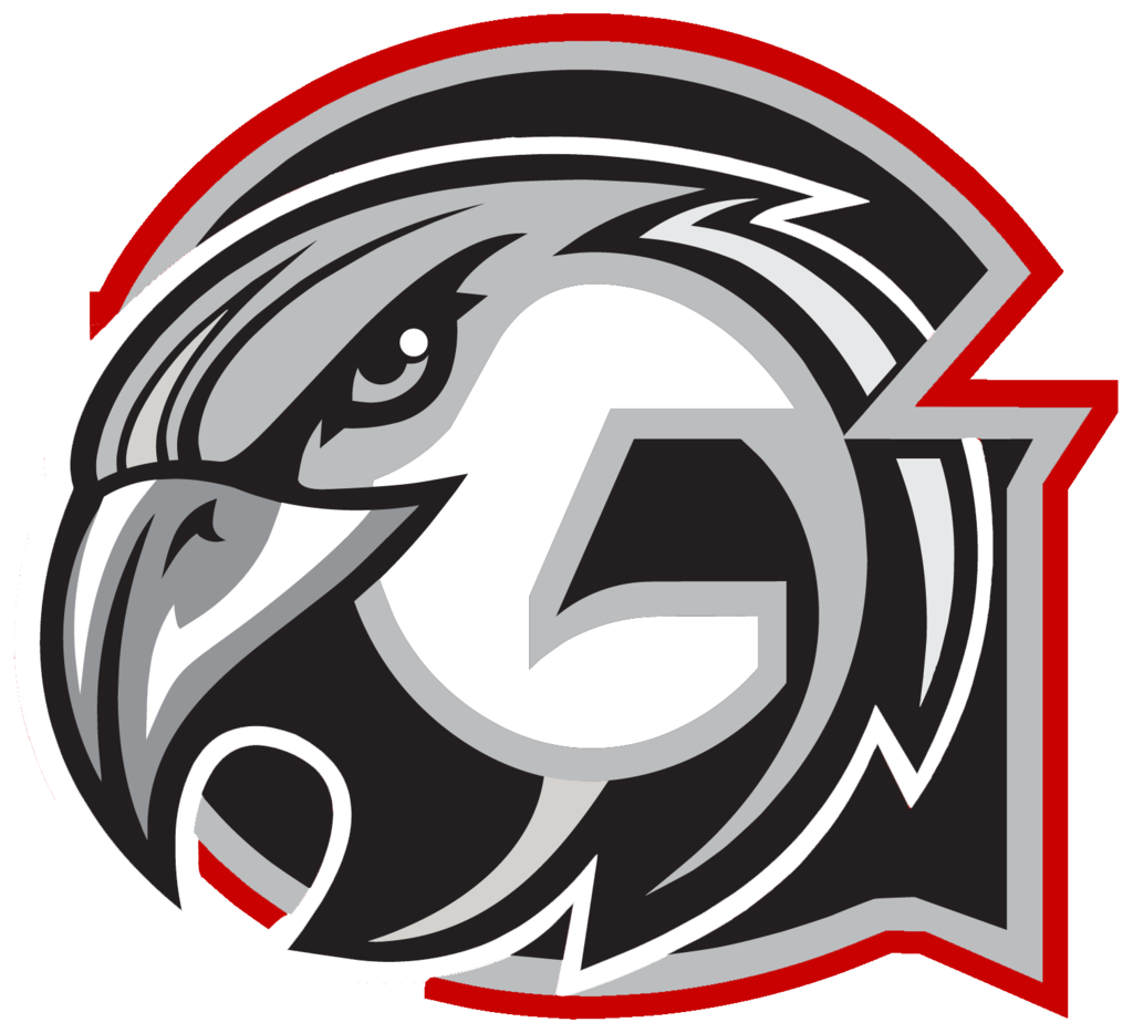 Falcon Logo