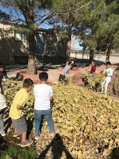 Second and Fifth Grade working in the school gardens.