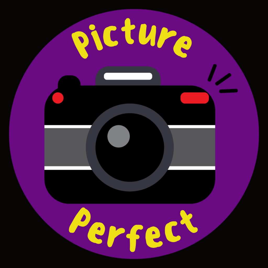 picture of a clipart camera