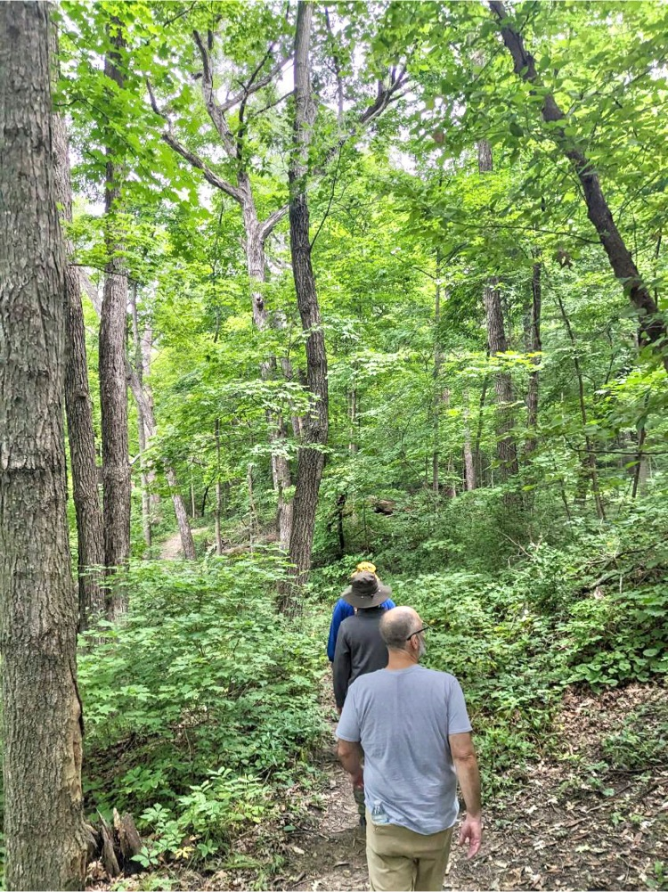 path walk