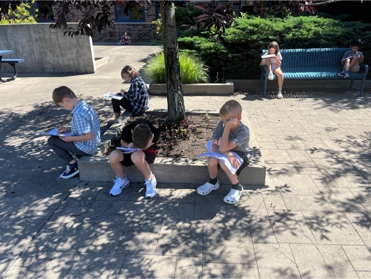 Courtyard Reading! ☀️