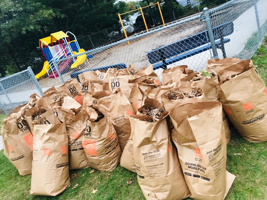 playground cleanup 