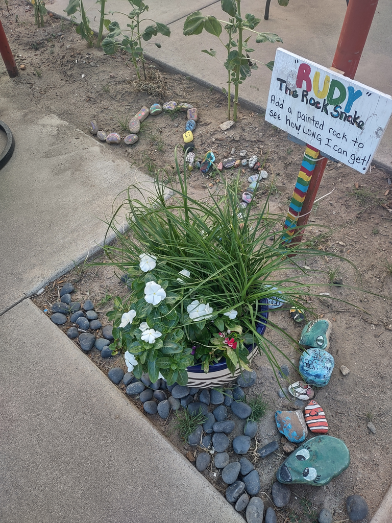 picture of the rock snake