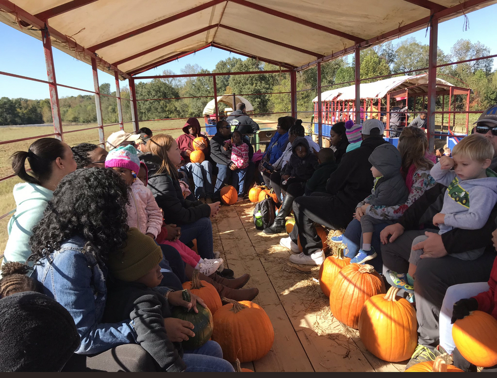 Pumpkin Patch