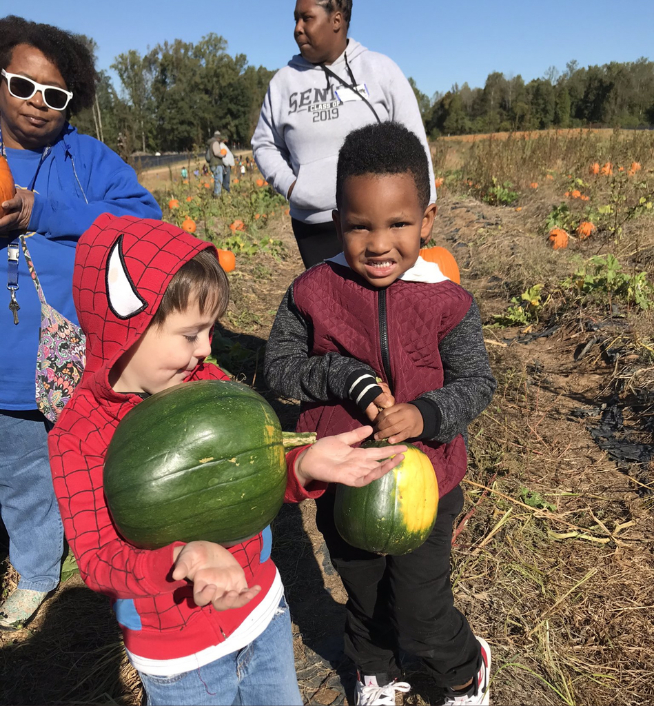 Pumpkin Patch
