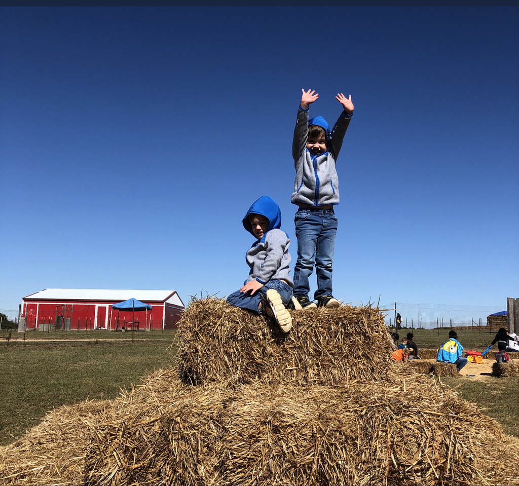Pumpkin Patch