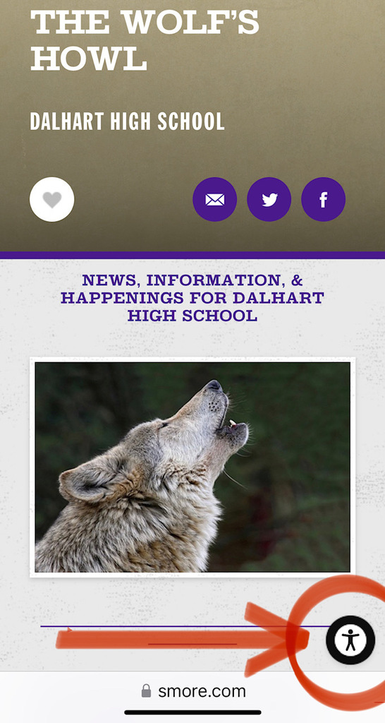 translate button on newsletter