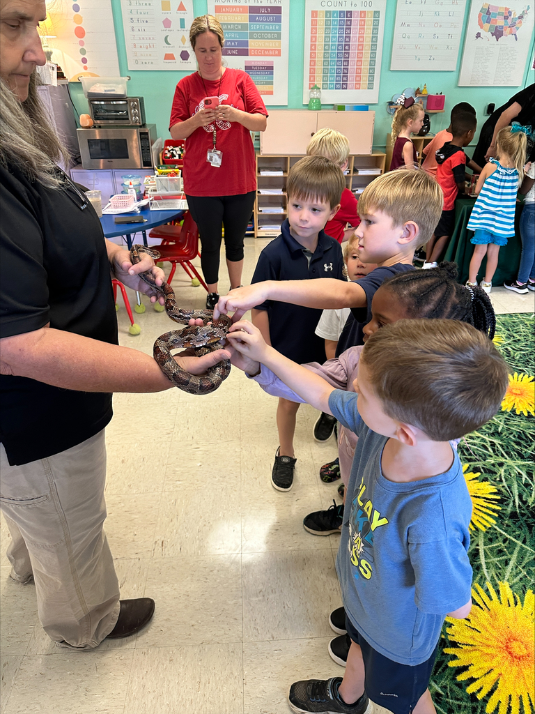 Fun with reptiles