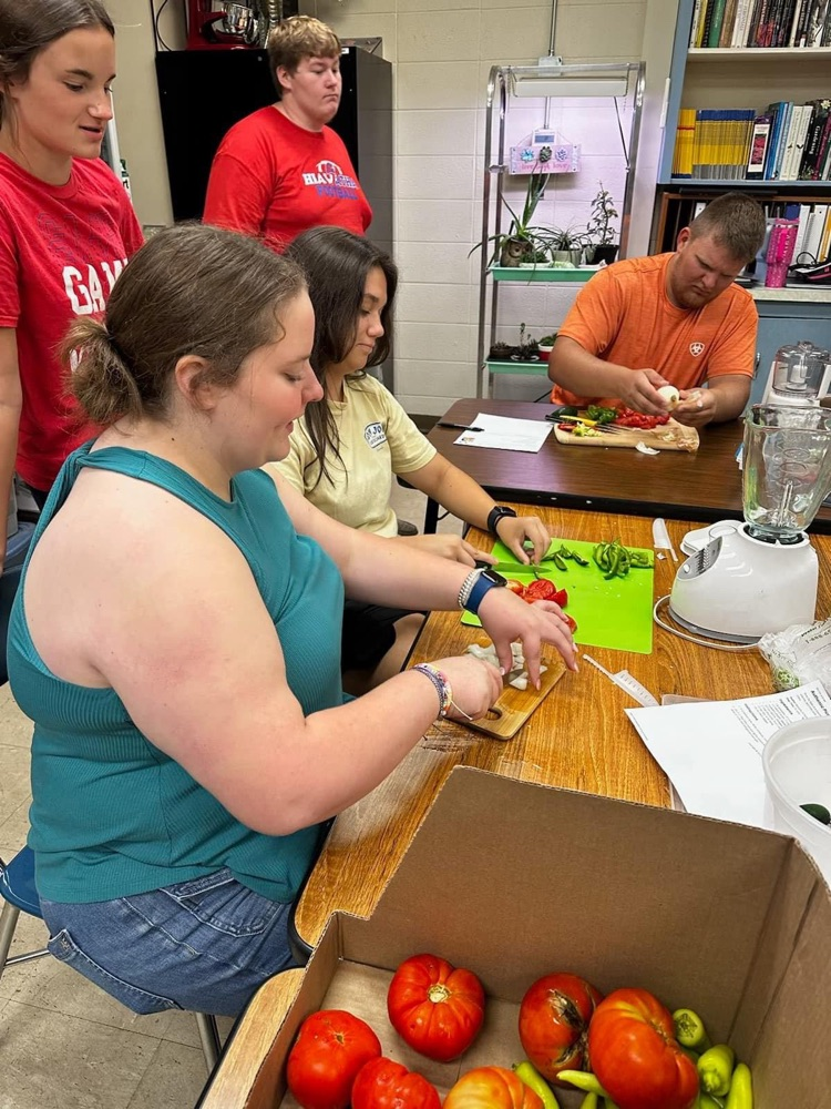 Food Science - Day 1 making pickles… Day 2- fresh Salsa and Pico  Learning to do, doing to learn.  Loving to cook (and eat)!