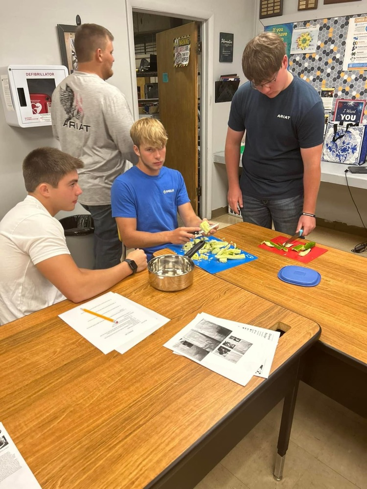 Food Science - Day 1 making pickles… Day 2- fresh Salsa and Pico  Learning to do, doing to learn.  Loving to cook (and eat)!